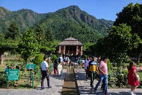 Mughal Garden In Kashmir
