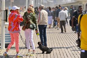 Centenary of Les Planches de Deauville