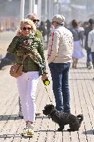 Centenary of Les Planches de Deauville