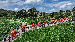 Wedding Customs in Qianxinan