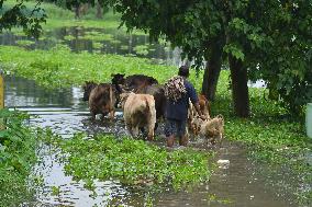 Flood In Assam