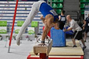 Gymnastics - Campionati Nazionali Assoluti Ginnastica Artistica