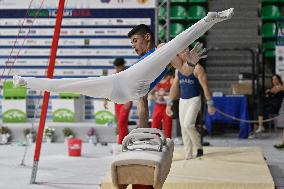 Gymnastics - Campionati Nazionali Assoluti Ginnastica Artistica