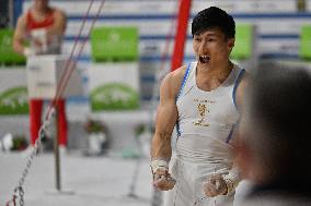 Gymnastics - Campionati Nazionali Assoluti Ginnastica Artistica