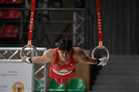 Gymnastics - Campionati Nazionali Assoluti Ginnastica Artistica