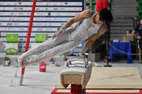 Gymnastics - Campionati Nazionali Assoluti Ginnastica Artistica