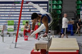 Gymnastics - Campionati Nazionali Assoluti Ginnastica Artistica