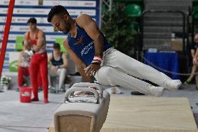 Gymnastics - Campionati Nazionali Assoluti Ginnastica Artistica