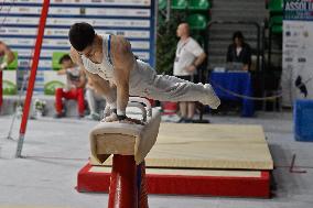 Gymnastics - Campionati Nazionali Assoluti Ginnastica Artistica