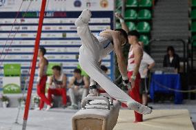 Gymnastics - Campionati Nazionali Assoluti Ginnastica Artistica