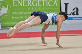 Gymnastics - Campionati Nazionali Assoluti Ginnastica Artistica