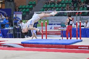 Gymnastics - Campionati Nazionali Assoluti Ginnastica Artistica