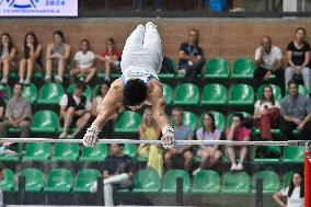 Gymnastics - Campionati Nazionali Assoluti Ginnastica Artistica