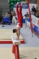 Gymnastics - Campionati Nazionali Assoluti Ginnastica Artistica