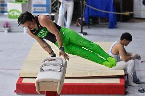 Gymnastics - Campionati Nazionali Assoluti Ginnastica Artistica