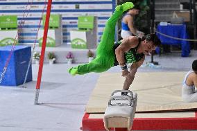 Gymnastics - Campionati Nazionali Assoluti Ginnastica Artistica