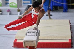 Gymnastics - Campionati Nazionali Assoluti Ginnastica Artistica