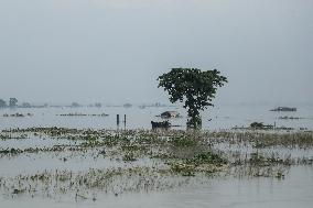 Flood In Bangladesh