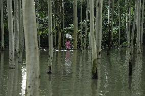 Flood In Bangladesh