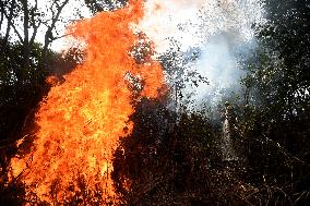 BRAZIL-CORUMBA-PANTANAL WETLAND-FIRE