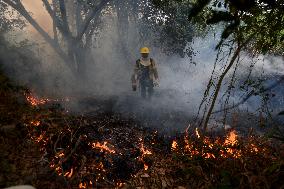 BRAZIL-CORUMBA-PANTANAL WETLAND-FIRE