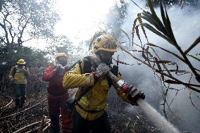 BRAZIL-CORUMBA-PANTANAL WETLAND-FIRE