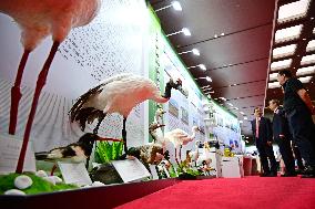 CHINA-SHANDONG-SCO-GREEN DEVELOPMENT FORUM (CN)