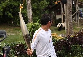 Olympic Torch At Beauval Zoo In Saint-Aignan