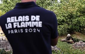 Olympic Torch At Beauval Zoo In Saint-Aignan