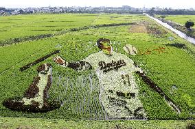 Rice paddy art of Shohei Ohtani