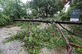 Hurricane Beryl Aftermath In Houston Part 4