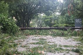 Hurricane Beryl Aftermath In Houston Part 4