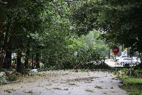 Hurricane Beryl Aftermath In Houston Part 4