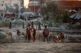 Parkour in Gaza Among Ruins of Bombed Building Amid Hamas-Israel Conflict