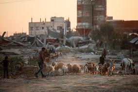 Parkour in Gaza Among Ruins of Bombed Building Amid Hamas-Israel Conflict