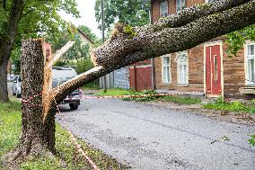 Storm in Tartu