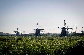 Kinderdijk Windmills - Netherlands