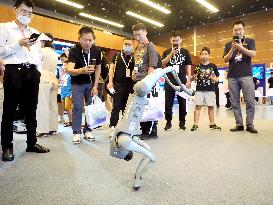 2024 China Internet Conference Held in Beijing