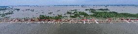 (SpotNews)CHINA-HUNAN-DONGTING LAKE-FLOODWATER-DRAINAGE (CN)