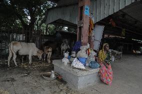 Flood In Bangladesh