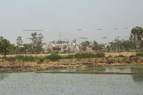 Rice Fields In Jaspur