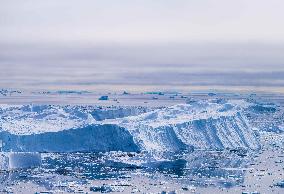 Icebergs And Effects Of Climate Change