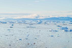 Icebergs And Effects Of Climate Change