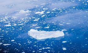 Icebergs And Effects Of Climate Change