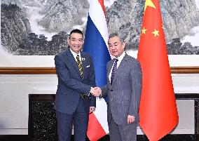 CHINA-BEIJING-WANG YI-THAI FM-CONSULTATION MECHANISM-MEETING (CN)