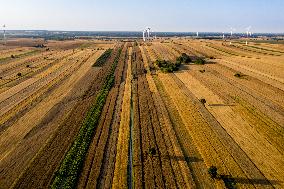 Wind Power Develops In Poland As Global Energy Independence Day Approaches