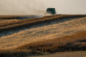 Wind Power Develops In Poland As Global Energy Independence Day Approaches