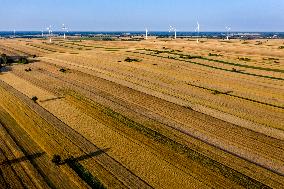 Wind Power Develops In Poland As Global Energy Independence Day Approaches