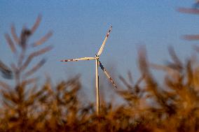 Wind Power Develops In Poland As Global Energy Independence Day Approaches