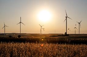 Wind Power Develops In Poland As Global Energy Independence Day Approaches